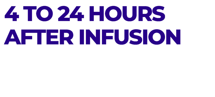 4 to 24 hours after infusion